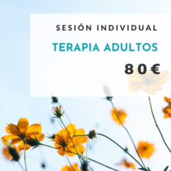 Sesión terapia online