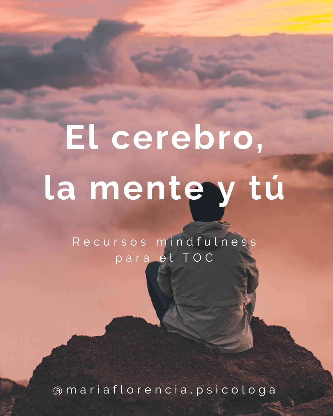 TOC el cerebro la mente y tu