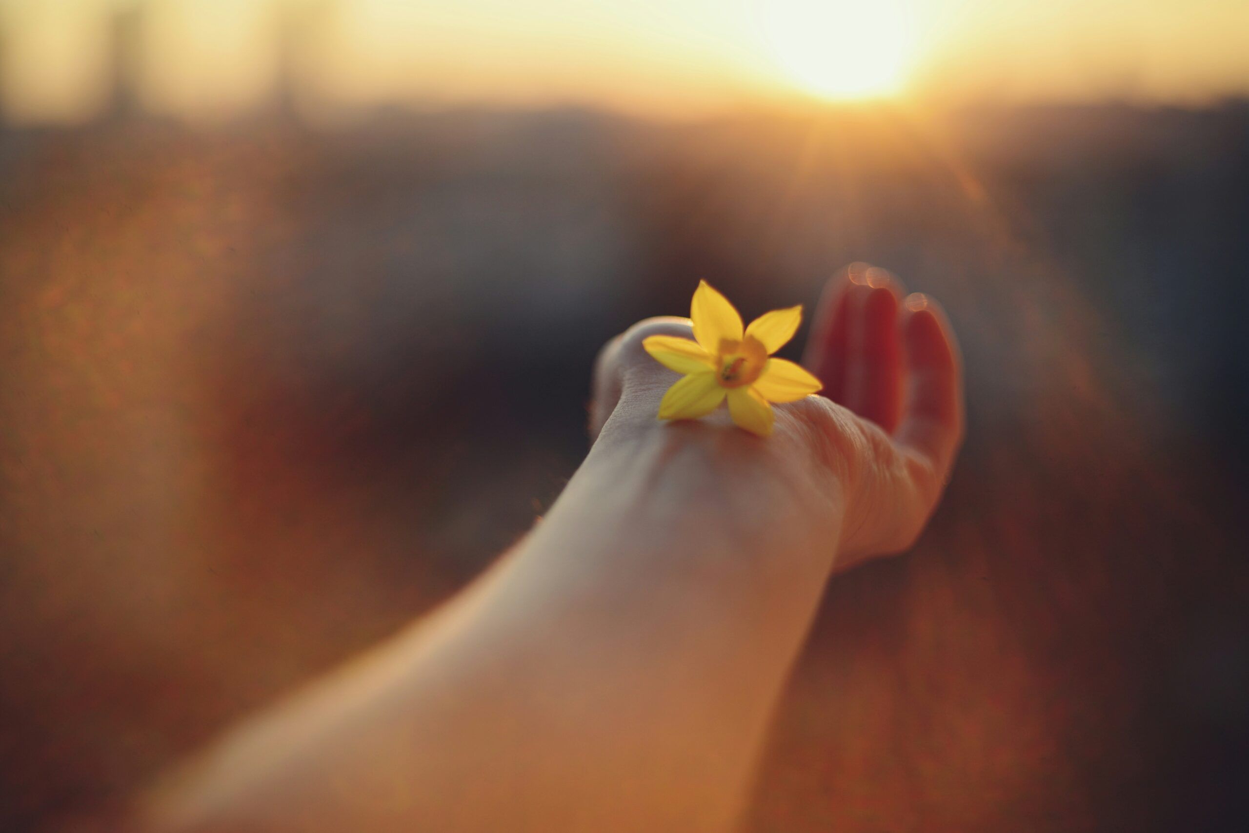 Psicoterapia Integradora Online